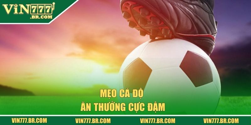 Cá Cược Bóng Đá Tại Vin777 - Kèo Nóng, Thắng Lớn Mỗi Ngày! 3 Mẹo cá độ ăn thưởng cực đậm
