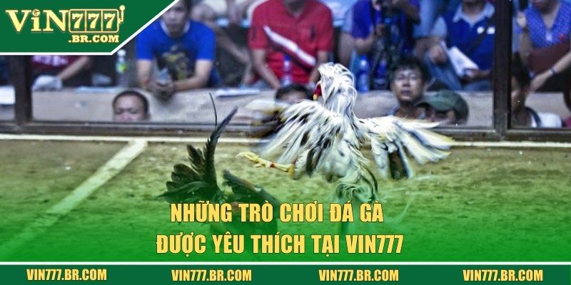 Đá Gà Vin777 - Cá Cược Bạc Tỷ Qua Từng Trận Chọi Kê 2 Những trò chơi đá gà được yêu thích tại Vin777